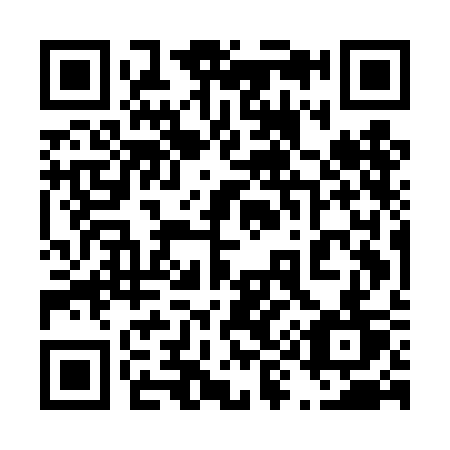 QR code for 495-DCT