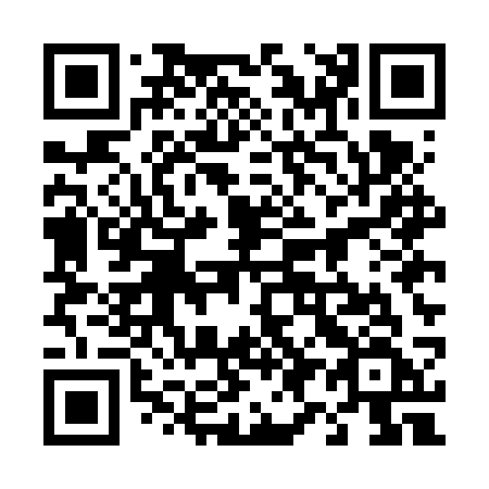 QR code for 495-FSF