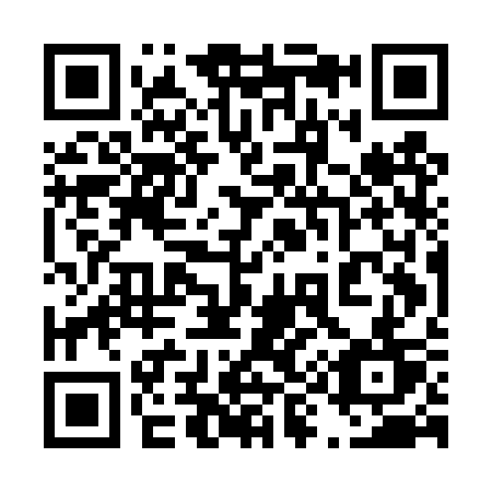 QR code for plate 495-DST