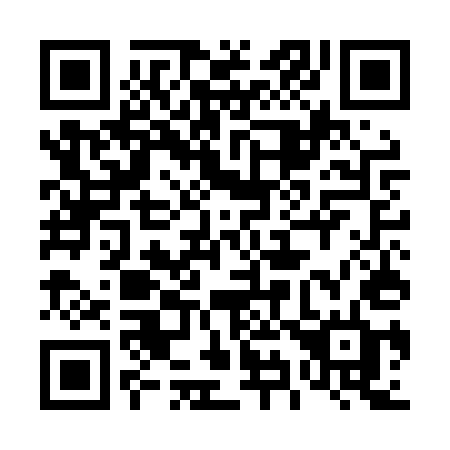 QR code for 495LUD