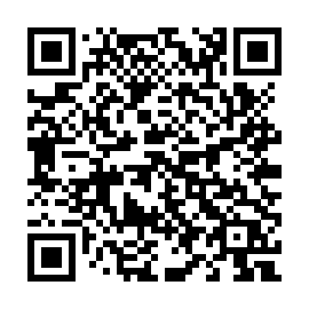 QR code for plate 495-ZTP