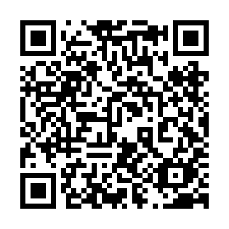 QR code for plate 496-BIM