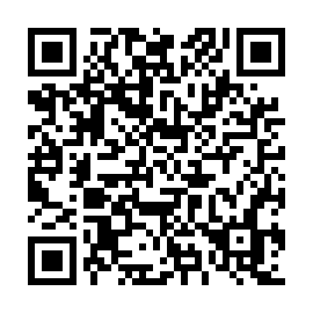 QR code for plate 496-EFN