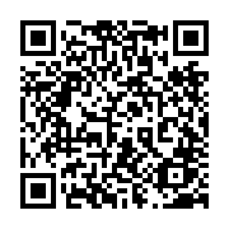 QR code for plate 496-NNR