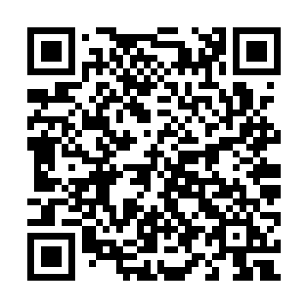 QR code for plate 496-QVI
