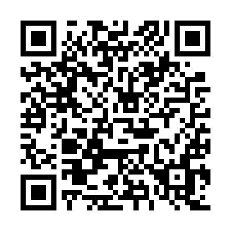 QR code for plate 496-VYN