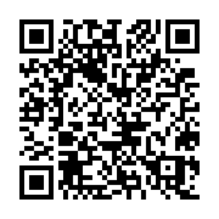 QR code for plate 497-GLS