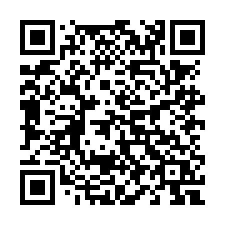 QR code for 498-NER