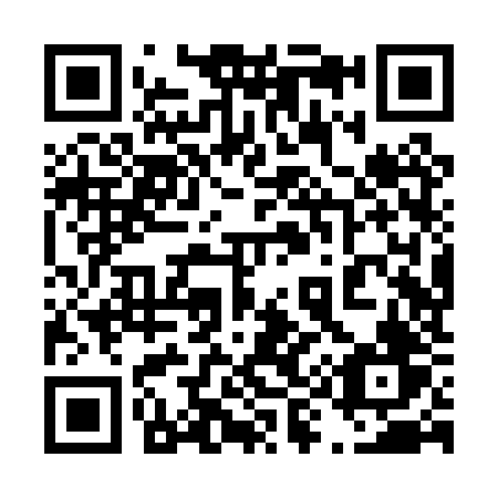 QR code for 498-PZV
