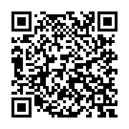 QR code for plate 498-HLN