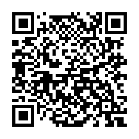 QR code for plate 498-MCK