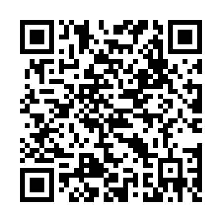 QR code for plate 499-DEF