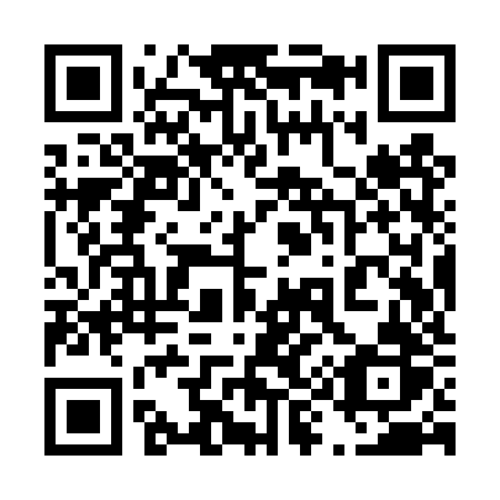 QR code for plate 499-TZR
