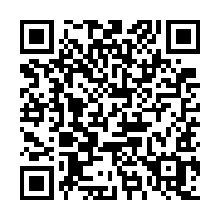 QR code for plate 499-WIG