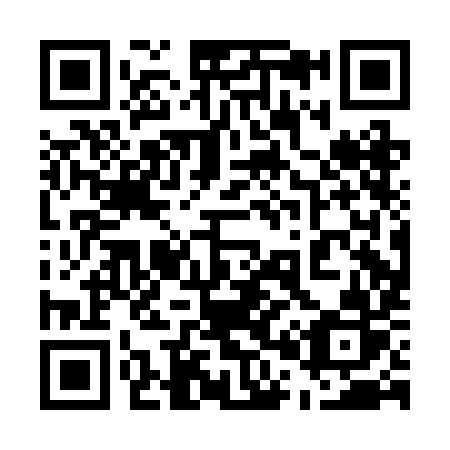 QR code for 500-BIR