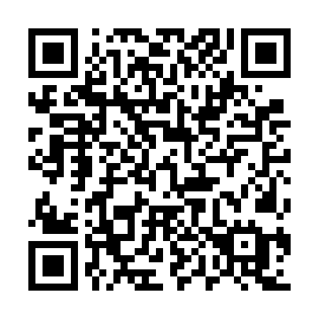 QR code for plate 500-FNE