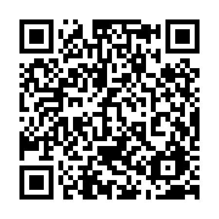 QR code for 501-PRG