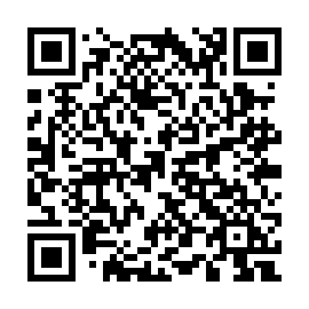 QR code for plate 501-PFI
