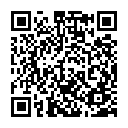 QR code for plate 501-UGV