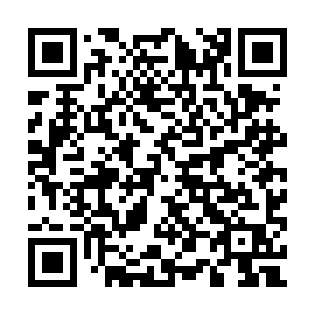 QR code for 507-DIP