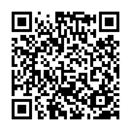 QR code for plate 507-DRT