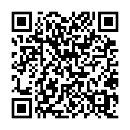 QR code for plate 507-SLM