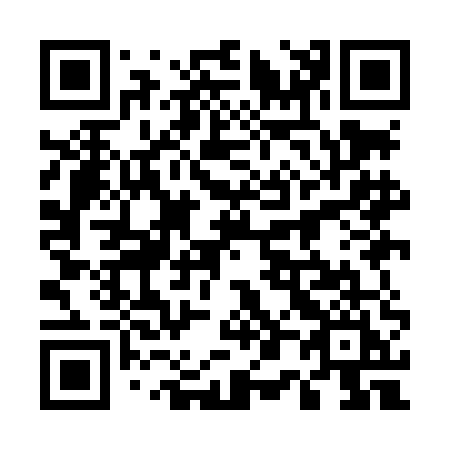 QR code for 509-LEI