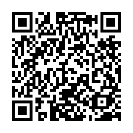 QR code for 509-NMI