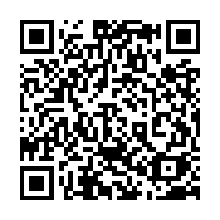 QR code for plate 509-OWI