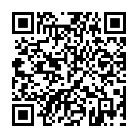 QR code for plate 510-RAD