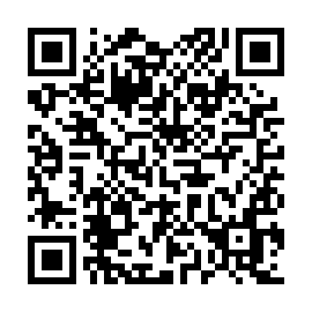 QR code for 511-PIN