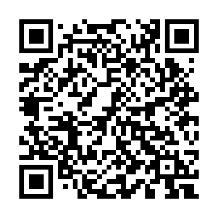 QR code for plate 513-BSH