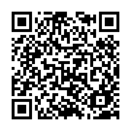 QR code for plate 513-PID