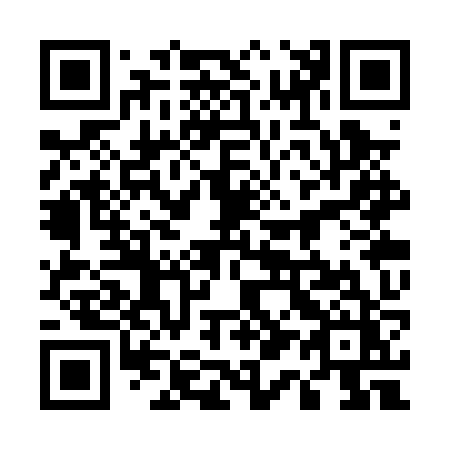 QR code for plate 513-PZZ