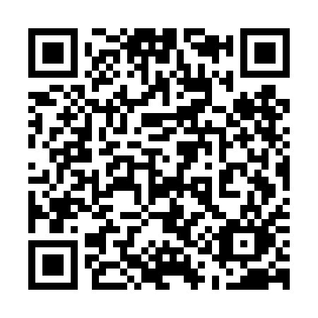 QR code for 517-DAO