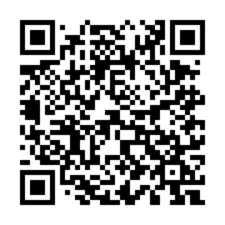 QR code for plate 517-DOG