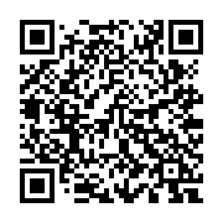QR code for 517ZDI
