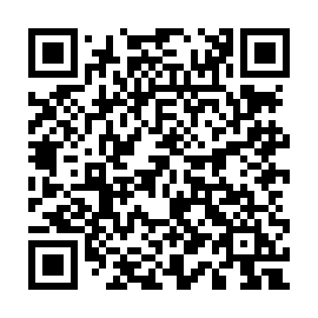 QR code for 518LEI
