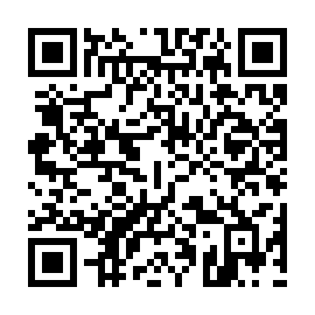 QR code for 519-CCB