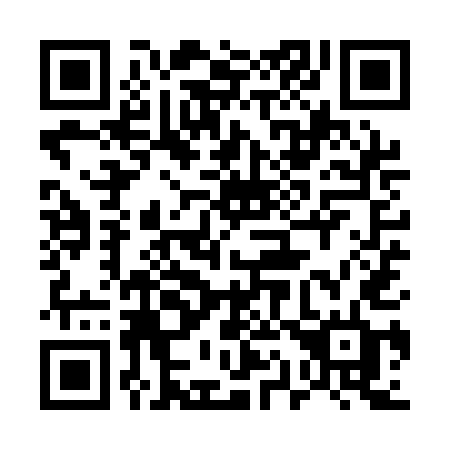 QR code for 519QED