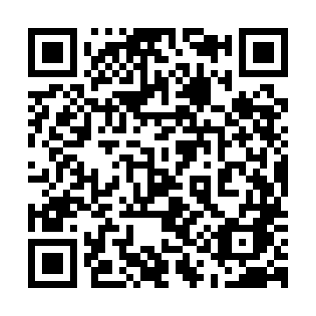 QR code for plate 519-QLA