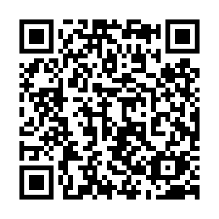 QR code for plate 520-DSM