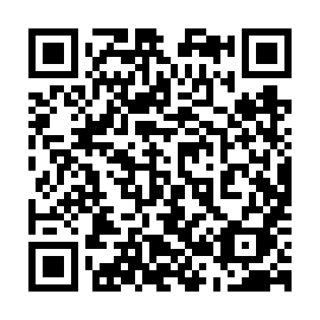 QR code for plate 520-VXI