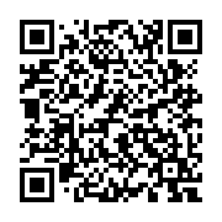 QR code for plate 523-JIU