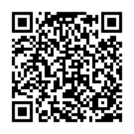 QR code for 533DXO