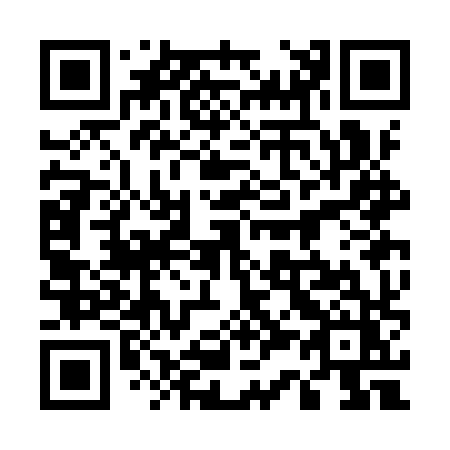 QR code for 533IXZ