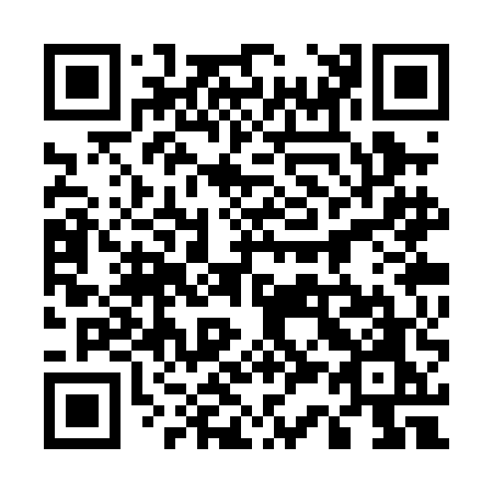 QR code for plate 533-PEO