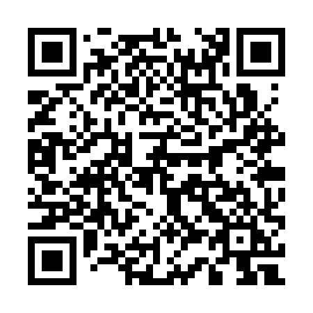 QR code for plate 533-SXI