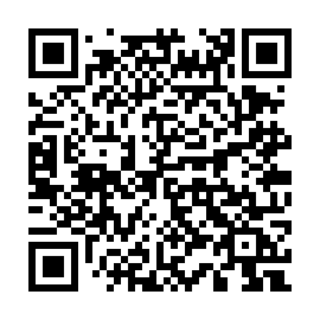 QR code for plate 533-TOC