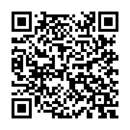 QR code for plate 535-HES